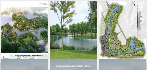 东珠生态 预中标5亿元江油市靛池湿地公园建设项目