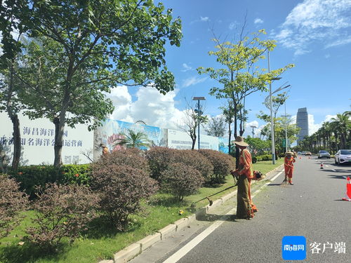 三亚海棠区 大力提升景观环境 扮靓城市文明底色