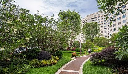 广州泰康之家·粤园 典雅 自然 生态 园路 地形 堆坡 铺装 植物 景观设计(SED新西林景观国际,受邀加入ASLA协会,拥有风景园林工程设计专项甲级,业务范围:住宅及社区设计、酒店及度假设计、养老地产及产业园区设计、商业地产设计、城市及空间设计、城市规划设计) (13)